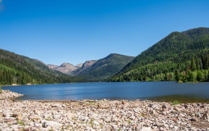 Best Shower Remodeling pros in Oakley, CA